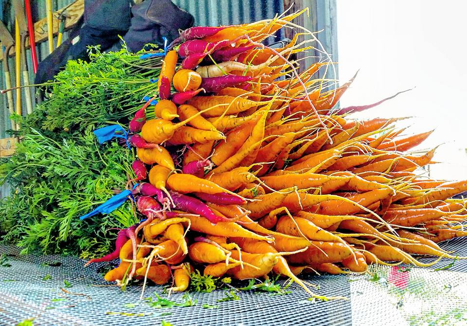 Carrots from Emadi Acres Farm. Photo by Derek Emadi